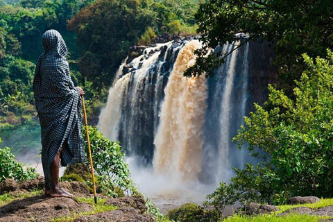 From Addis Ababa: Debre Libanos Monastery & Gelada Trek