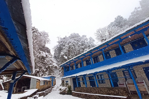 De Pokhara: Caminhada guiada de 5 dias por Poon Hill, Mulde Hill e Dobato