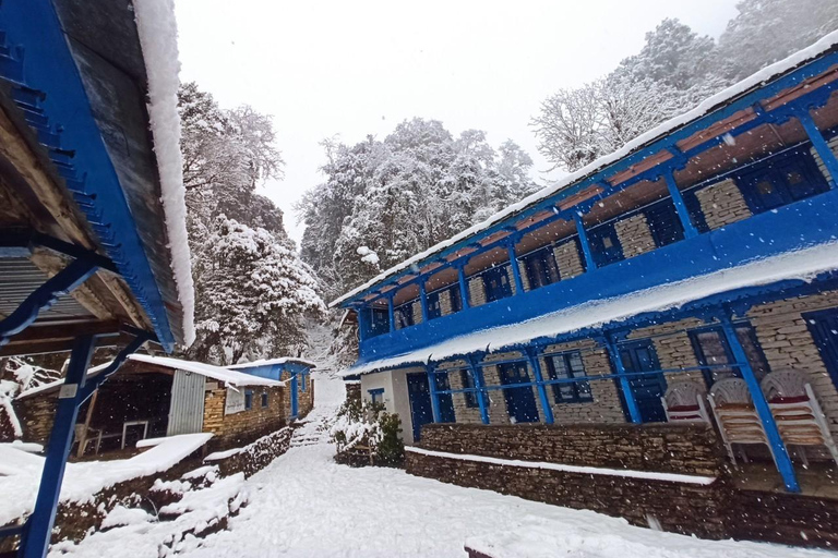 De Pokhara: Caminhada guiada de 5 dias por Poon Hill, Mulde Hill e Dobato