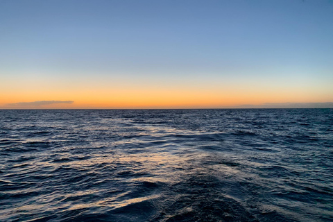 Gran Canaria Sunset Sailing Experience