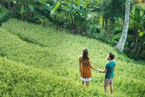 Scopri Ubud: Tour su misura con autista privato