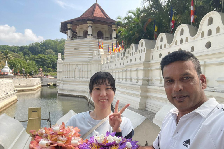 From Airport: 2-Night Sigiriya and Kandalama with Kandy Drop