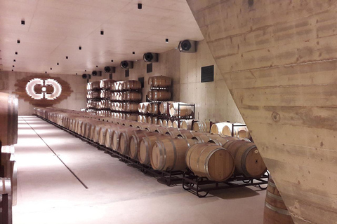 Valencia: tour dei vigneti, degustazione di vini locali e aperitivoValencia: tour dei vigneti, degustazione di vini locali e stuzzichini