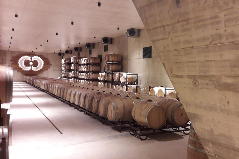 Valencia: tour dei vigneti, degustazione di vini locali e aperitivoValencia: tour dei vigneti, degustazione di vini locali e stuzzichini