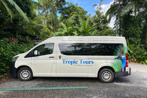 Daintree Rainforest: Flusskreuzfahrt und Regenwaldspaziergang