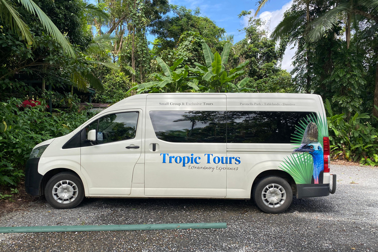 Foresta pluviale di Daintree: Crociera sul fiume e passeggiata nella foresta pluviale