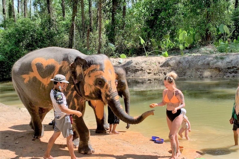 Khaolak Elefanten Interaktion Halbtag