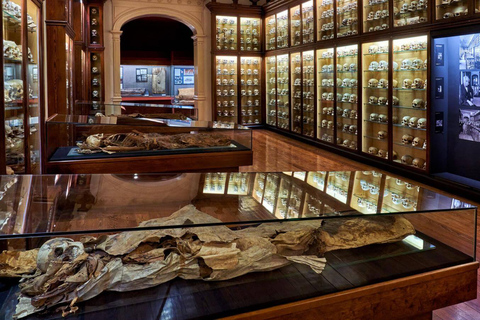 Las Palmas: rondleiding langs de hoogtepunten van de stad met ophaalservice