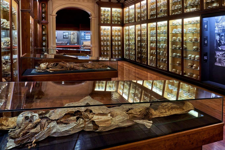 Las Palmas: rondleiding langs de hoogtepunten van de stad met ophaalservice