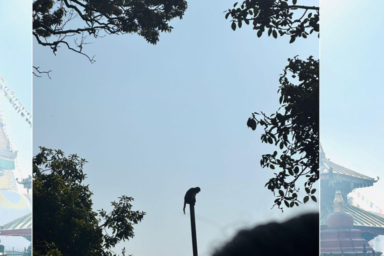 كاتماندو: جولة لمشاهدة القرود بصحبة مرشد في معبد القرود