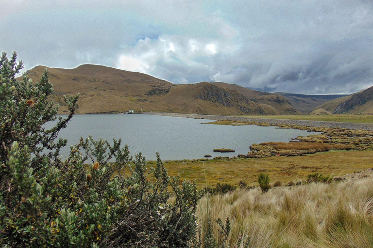 Antisana nationalpark - spaning efter andinska kondorer