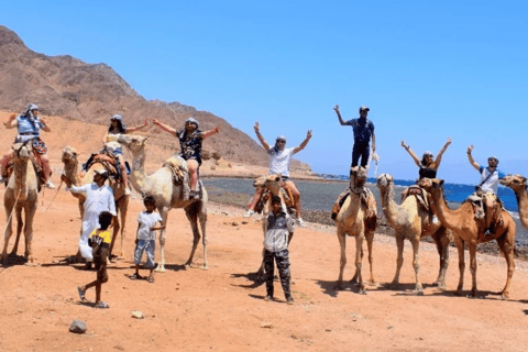 Sharm El Sheikh: Canyon, Blue Hole & Dahab Day Tour Blue Hole Explorer & Snorkeling Adventure