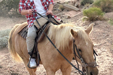 Las Vegas: Reittour bei Sonnenuntergang mit BBQ-Dinner