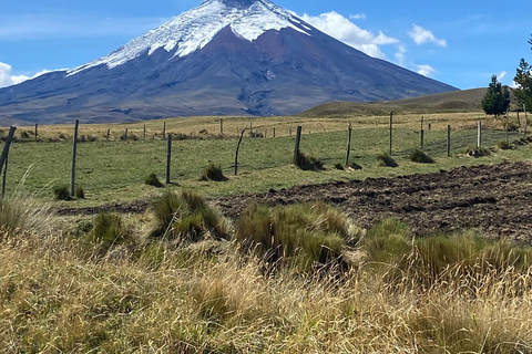 Cotopaxi i Laguna Quilotoa 2 dni 1 noc