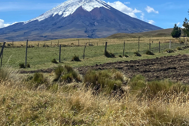 Cotopaxi & Quilotoa Lagoon 2 Days 1 Night