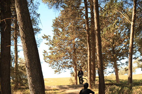 Granada: Tour in bicicletta della natura, della fauna selvatica e dei villaggi autentici