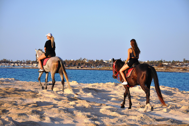 DJERBA : Randonnée à cheval privée (2h).