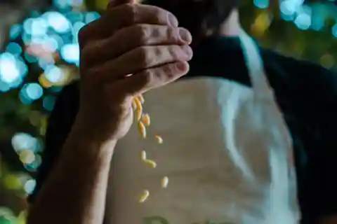Pesto Experience | la marinella | golfo dei poeti