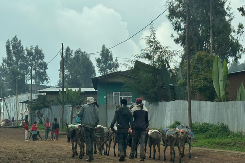 Addis Ababa: Authentic Coffee, Injera & Culture Experience