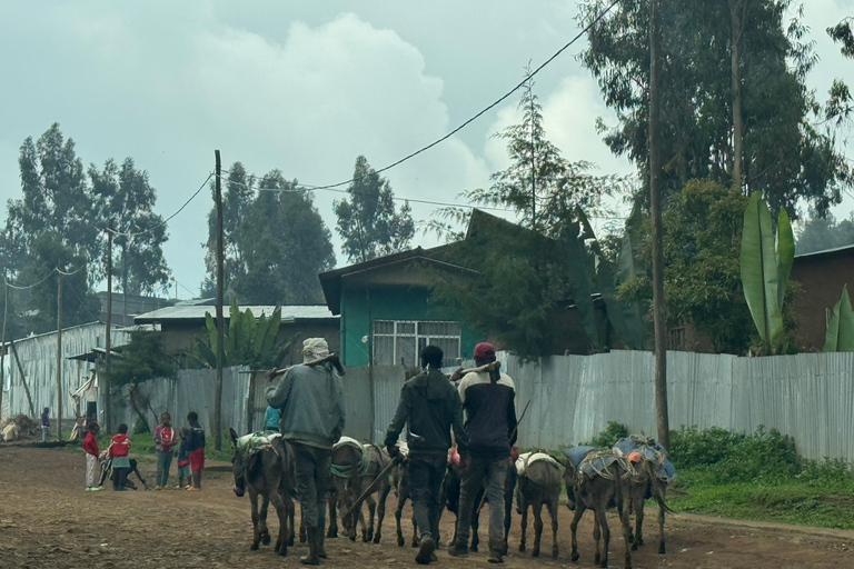 Addis Ababa: Authentic Coffee, Injera & Culture Experience