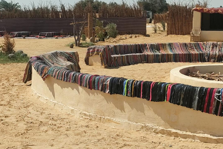 PAKKET 4 DAGEN FAYOUM OASIS, WITTE WOESTIJN EN BAHARIYA OASIS