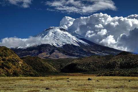 Cotopaxi: Full-day tour from Baños to Quito or vice versa Cotopaxi: Full-Day Tour from Baños to Quito or Vice Versa