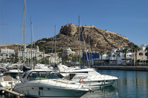 Alicante: Private Guided Tour with Transport