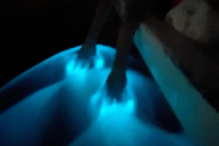 Bioluminescence in Puerto Escondido: Glow in the Manialtepec Lagoon Bioluminescence in Puerto Escondido: Glow in Laguna de Manialtepec