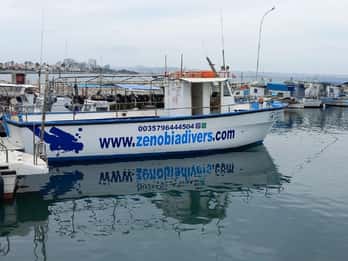 Larnaca: Zenobia Qualifizierte Taucher