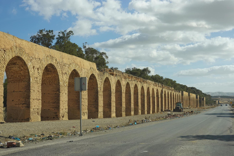 From Tunis: Bardo Museum, Oudhna & Aqueduct Private Tour