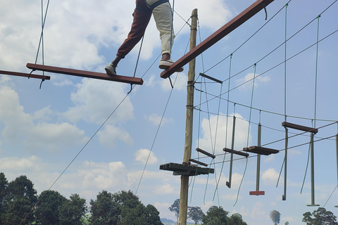 Nairobi: 1 dia de pura aventura de adrenalina no Quênia