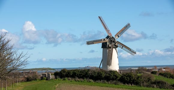 Dublin: Skerries Mills Guided Tour