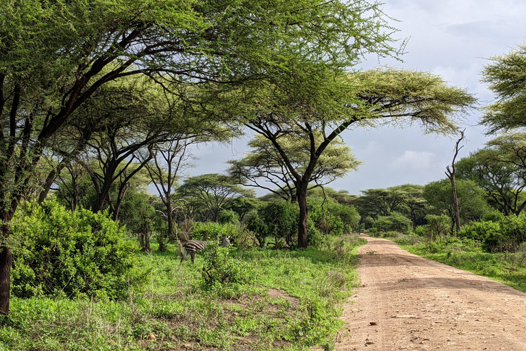 Arusha: Arusha National Park Safari with Canoeing Option