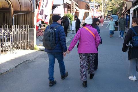 E-Bike Tour in Kyoto with Asuka, Japanese graduate student