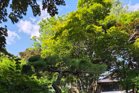 From Seoul: Garden of Morning Calm Day Tour by train