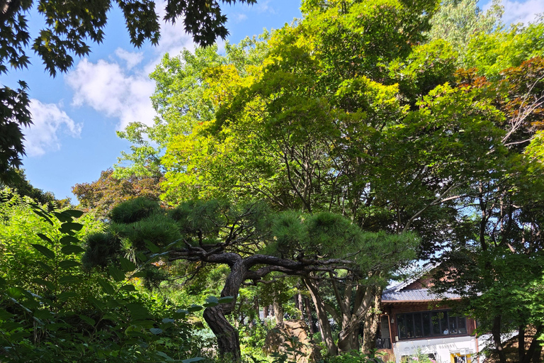 From Seoul: Garden of Morning Calm Day Tour by train