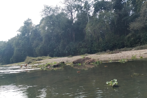 3 Noches 4 Días Parque Nacional de Chitwan con Estancia Nocturna en la Torre