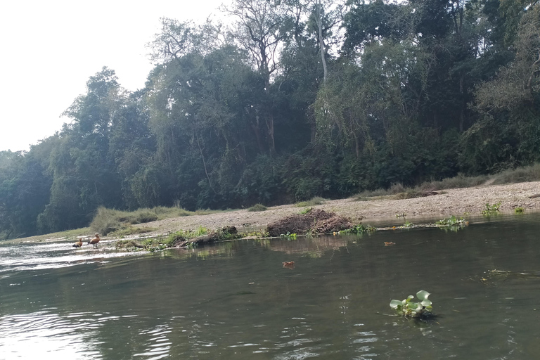 4 Días con estancia de una noche en el Parque Nacional de Chitwan