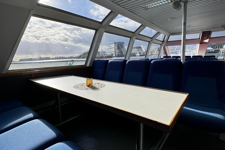 From Svolvær: Lofoten Trollfjord Cruise & Sea Eagle Safari Lofoten: Trollfjord Cruise with Sea Eagle Safari