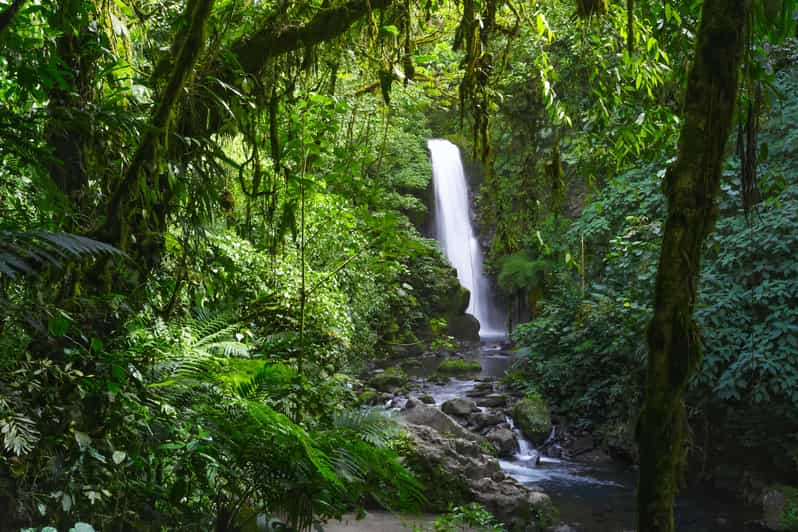 Desde San José: LA Paz Waterfall Garden & Rainforest Tour