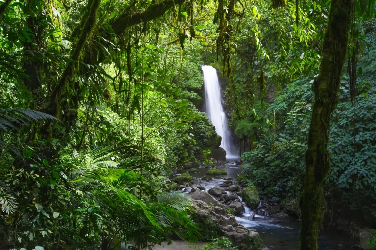 De San Jose: visite du jardin de la cascade de La Paz et de la forêt tropicale