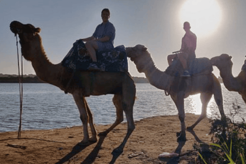 Agadir: Camel Ride by Souss River with Hotel Pickup
