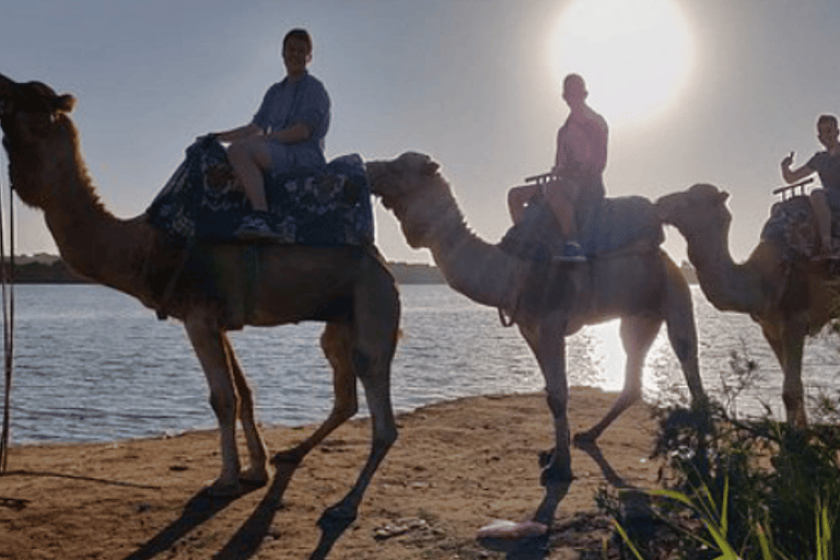 Agadir: Camel Ride by Souss River with Hotel Pickup