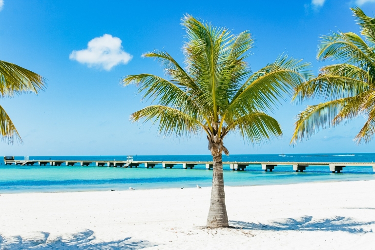 Z Miami: jednodniowa wycieczka do Key West1-dniowa wycieczka z Miami z przejażdżką Conch Train