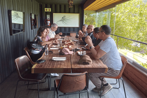 Ciudad del Cabo: Excursión de un día a Safari y Winelands