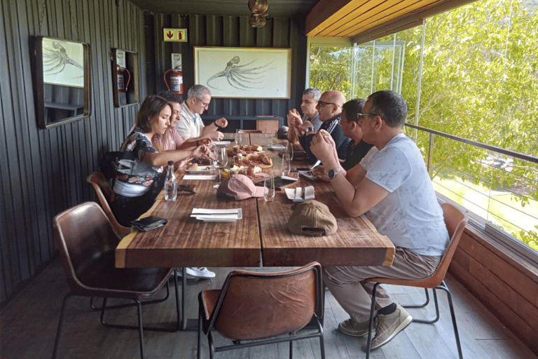 Cidade do Cabo: Safári e excursão de um dia a Winelands