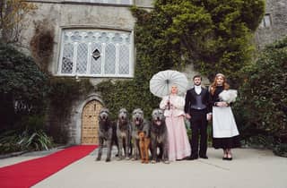Dublin: Jagd-Abendessen mit Getränken im Malahide Castle