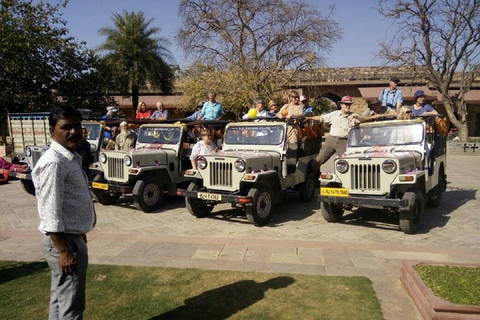 Jaipur: Forte Amber, Forte Nahargarh, Jeep Safari al Forte JaigarhSafari in jeep al Forte Amber e al pozzo a gradini con tour guidato