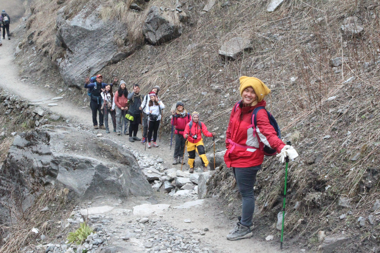 from Pokhara: 7-Day Annapurna Base Camp Trek