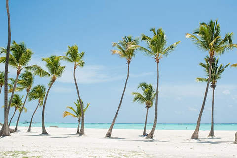 Punta Cana: Hoyo Claro Cenote and Juanillo Beach Tour